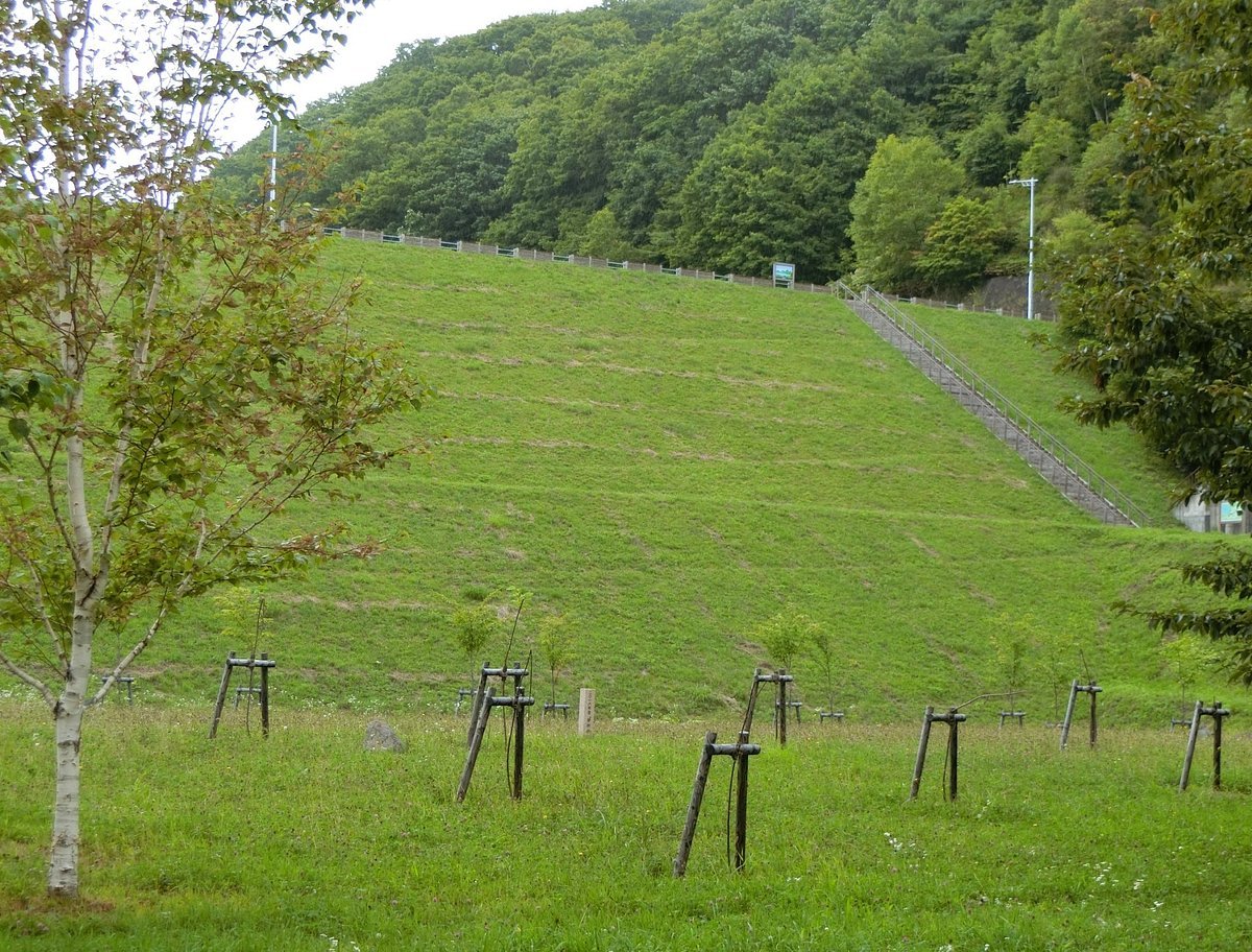 🏞️ 에니와 호수 자유 광장(에니와코 지유 히로바) 이미지 1